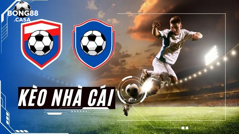 Những loại tỷ lệ bóng đá nhà cái phổ biến nhất