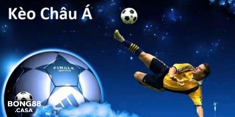 Các Loại Kèo Trong Cá Độ Bóng Đá Bong88 Không Thể Bỏ Qua