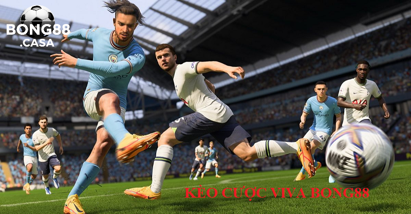 Tại Sao Kèo Cược Viva Bong88 Lại Thu Hút Người Chơi?